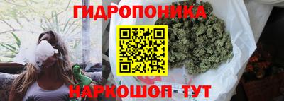 стафф Комсомольск-на-Амуре